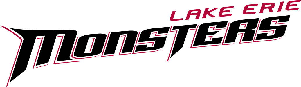 Lake Erie Monsters 2007-2012 Wordmark Logo iron on transfers for T-shirts